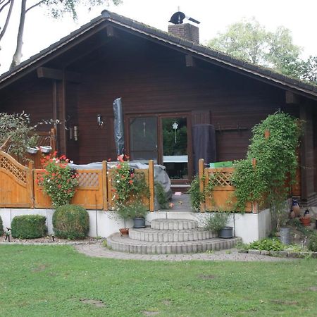 Ferienhaus Buchenblick Ankelohe ภายนอก รูปภาพ